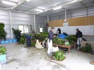 有限会社クローバーリーフ-2