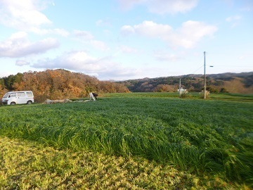 有限会社クローバーリーフ-3