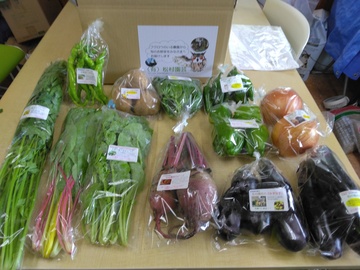 有限会社松村園芸-3