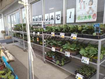 有限会社松村園芸-6