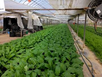 有限会社松村園芸-7