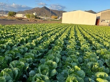 GOTOH FARM-2