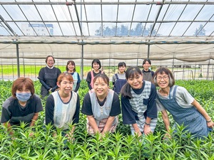 有限会社エフ・エフ・ヒライデ-top