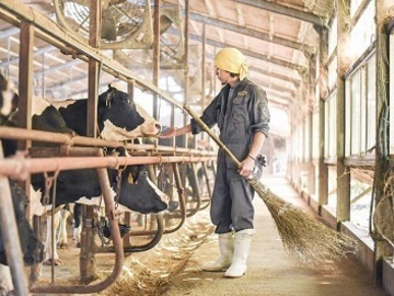 株式会社宇畑牧場-7