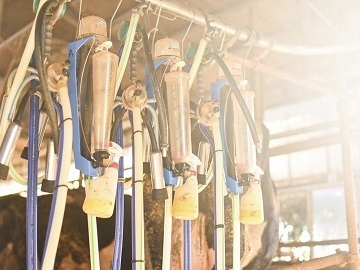 株式会社宇畑牧場-3