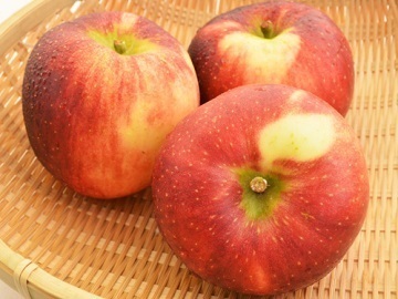 有限会社せいの農園-5