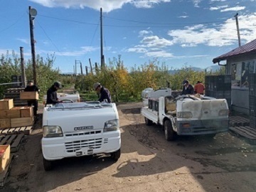 有限会社せいの農園-6