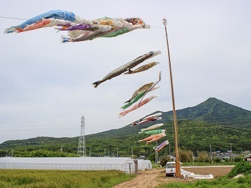 有限会社夢田ファーム-8