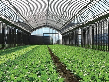 株式会社京都農販-1