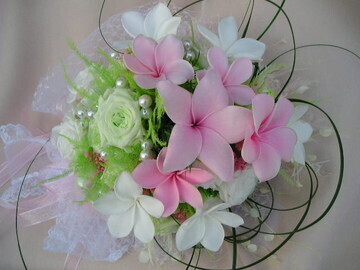 有限会社南原農園-5