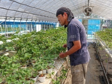 株式会社いちご工房-2
