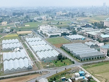 株式会社いちご工房-6